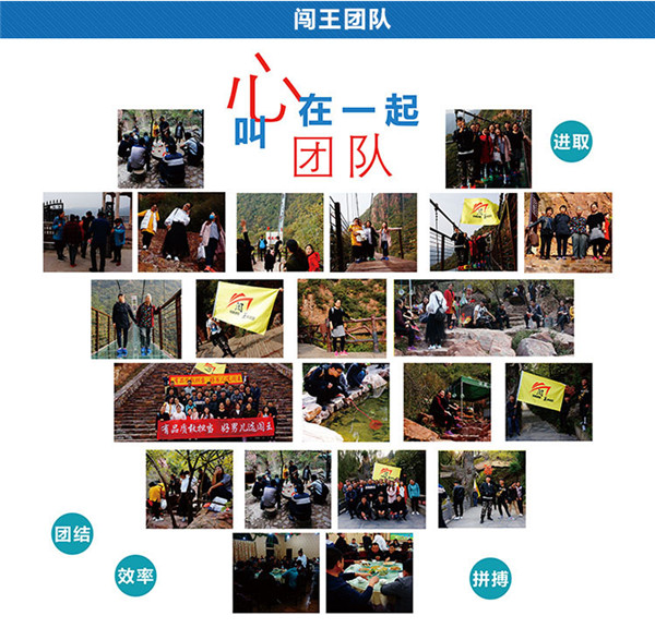 1741163647701932.jpg 團隊.jpg